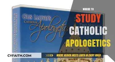 Top Catholic Apologetics Programs: Where to Deepen Your Faith and Defend It