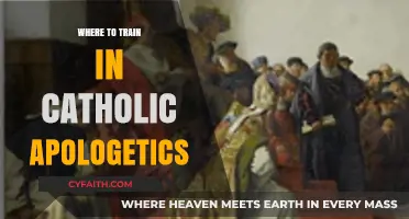 Best Places to Train in Catholic Apologetics for Faithful Defenders