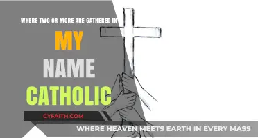 Gathered in My Name: Catholic Unity and Prayer's Power Explored