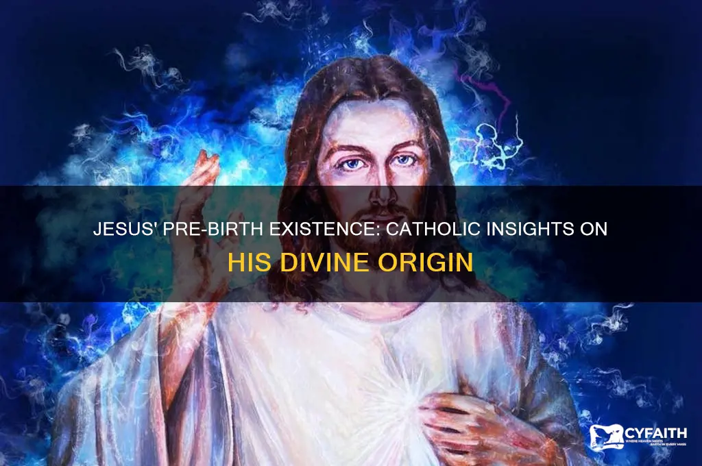 where was jesus before he was born catholic