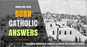 Where Was Jesus Born? Catholic Answers and Historical Insights