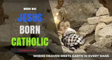 Where Was Jesus Born? Exploring the Catholic Tradition of Bethlehem