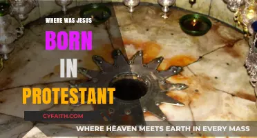 Protestant Perspective: The Birthplace of Jesus in Bethlehem Explored