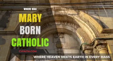 Mary's Birthplace: Unveiling the Catholic Tradition and Historical Insights