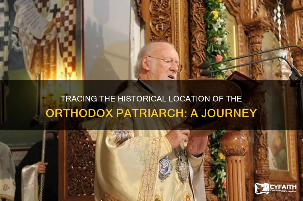 where was the orthodox patriarch