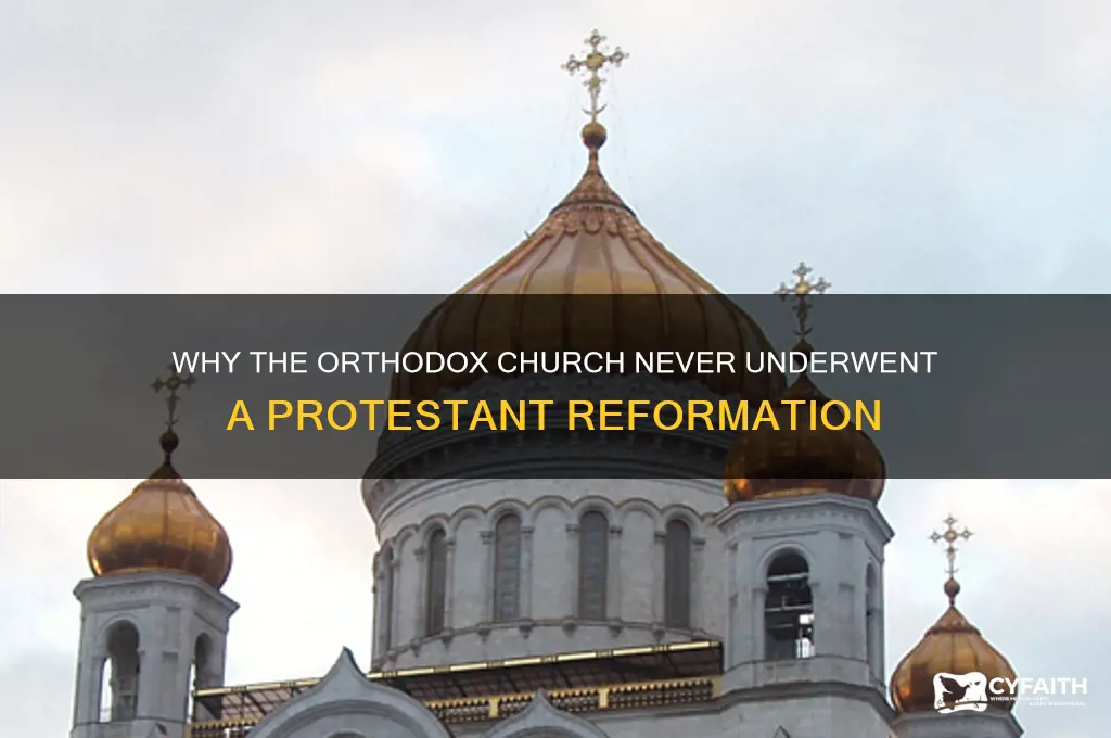where wasnt there a protestant reformation for the orthodox church