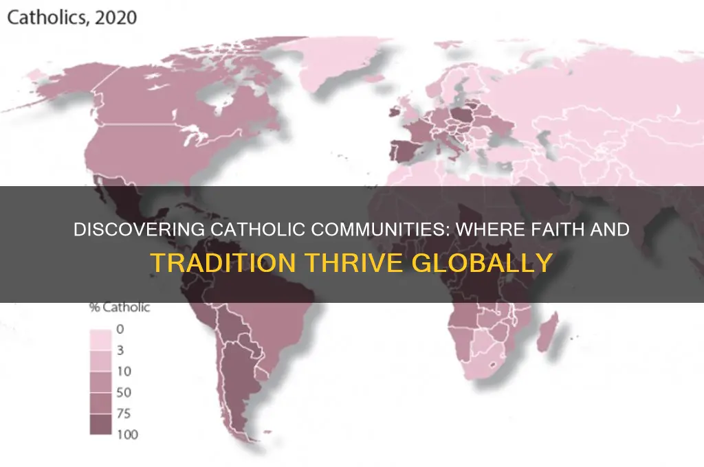 where will you find catholics