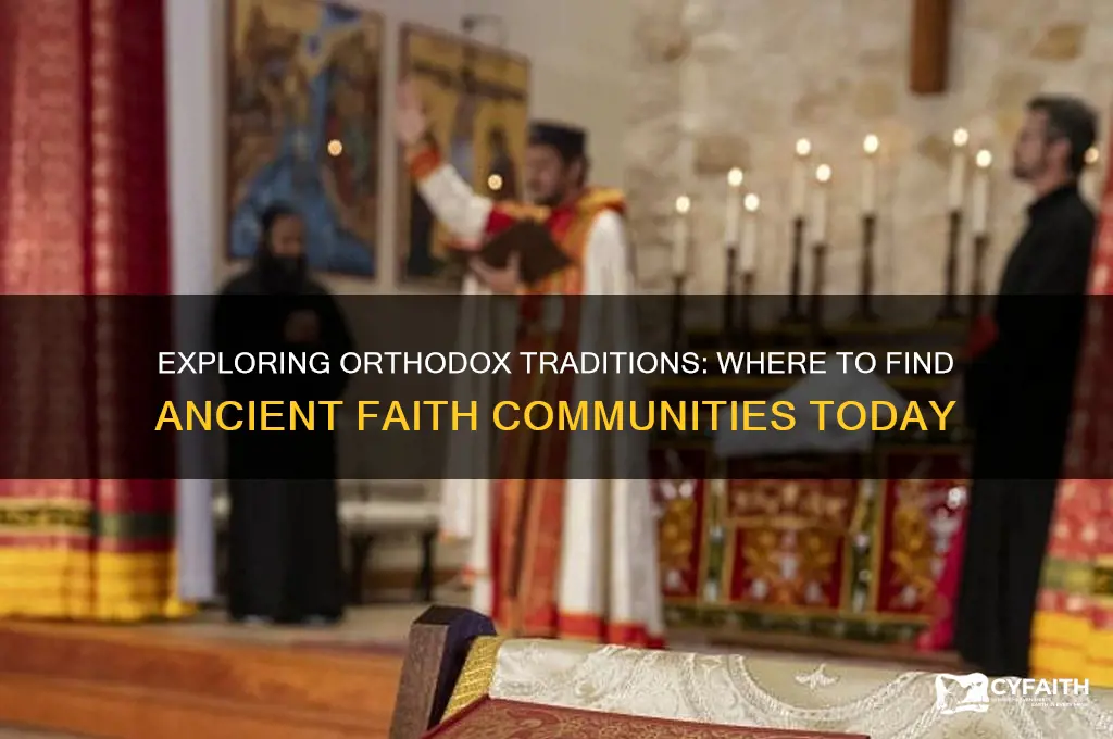 where will you find orthodox