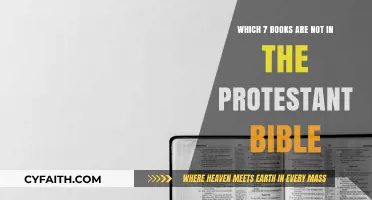Books Missing from the Protestant Bible: 7 Key Exclusions Explained
