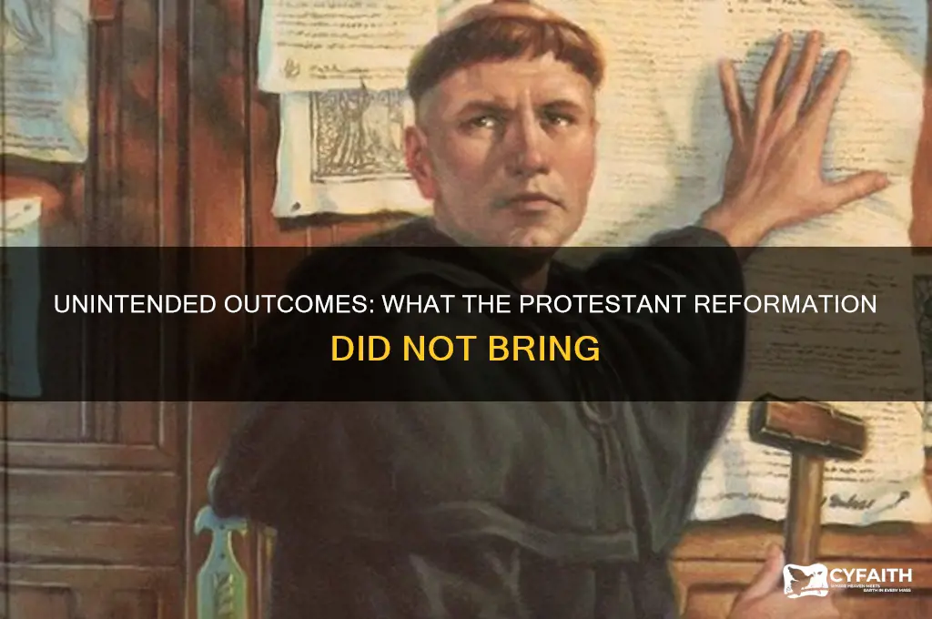 which aasnot a consequence of the protestant reformation