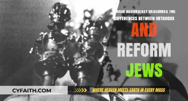 Orthodox vs. Reform Judaism: Key Beliefs, Practices, and Cultural Differences Explained