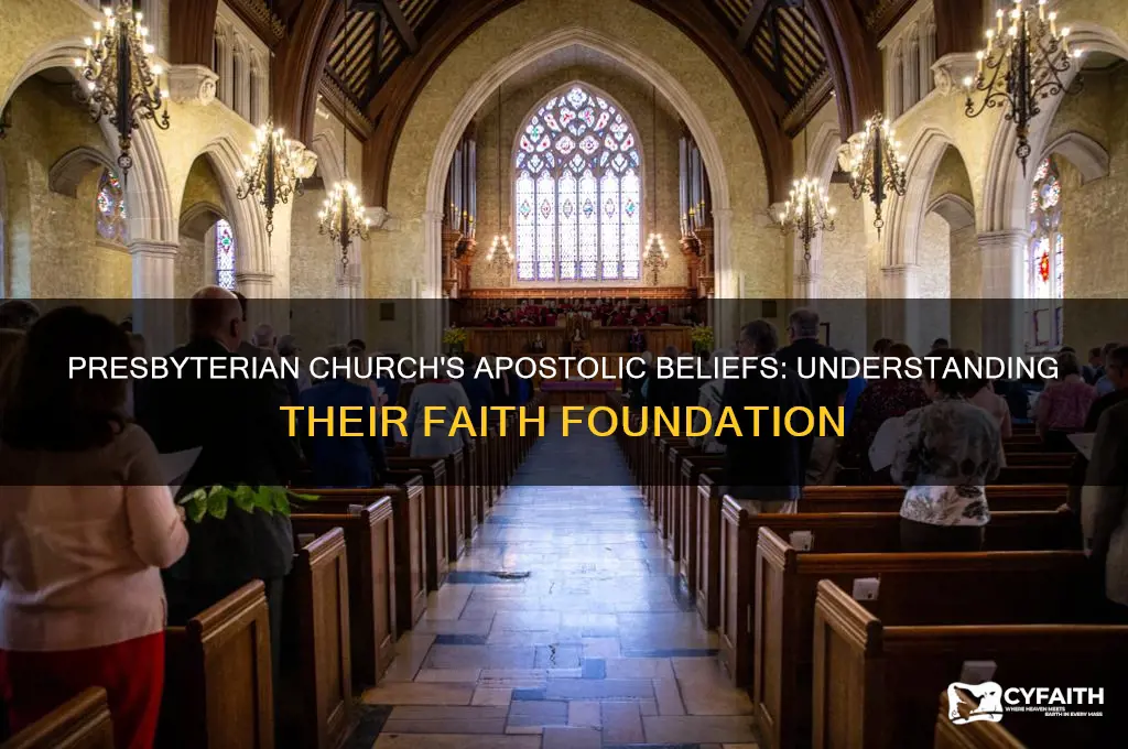 which apostle does presbyterian church believe in