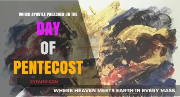 The Apostolic Proclamation: Who Preached on Pentecost?