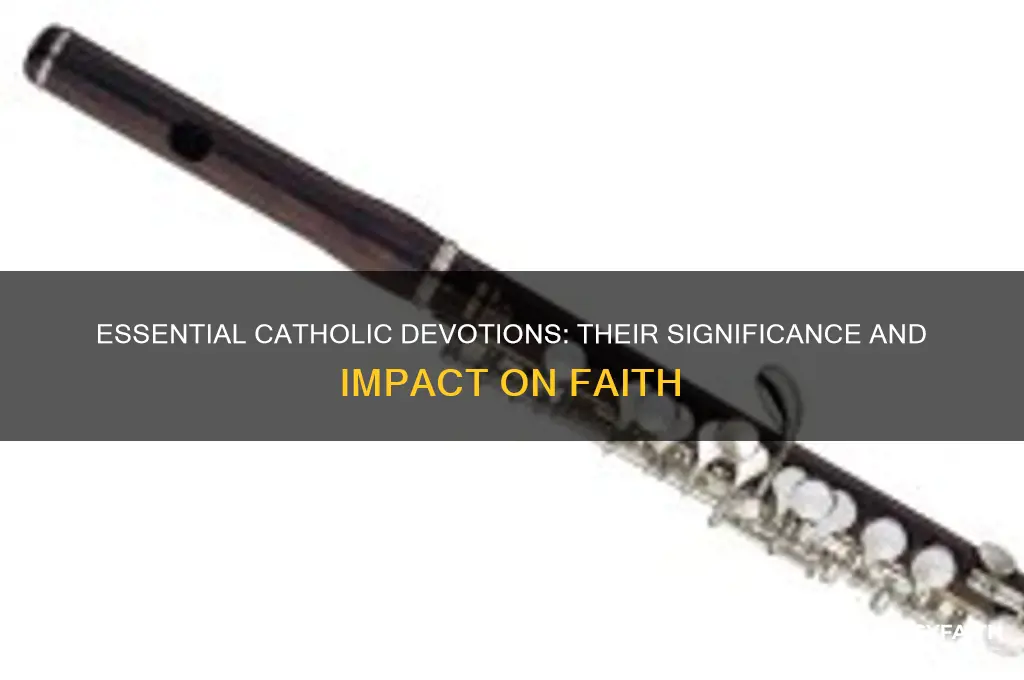 which are considered the most important catholic devotions and why