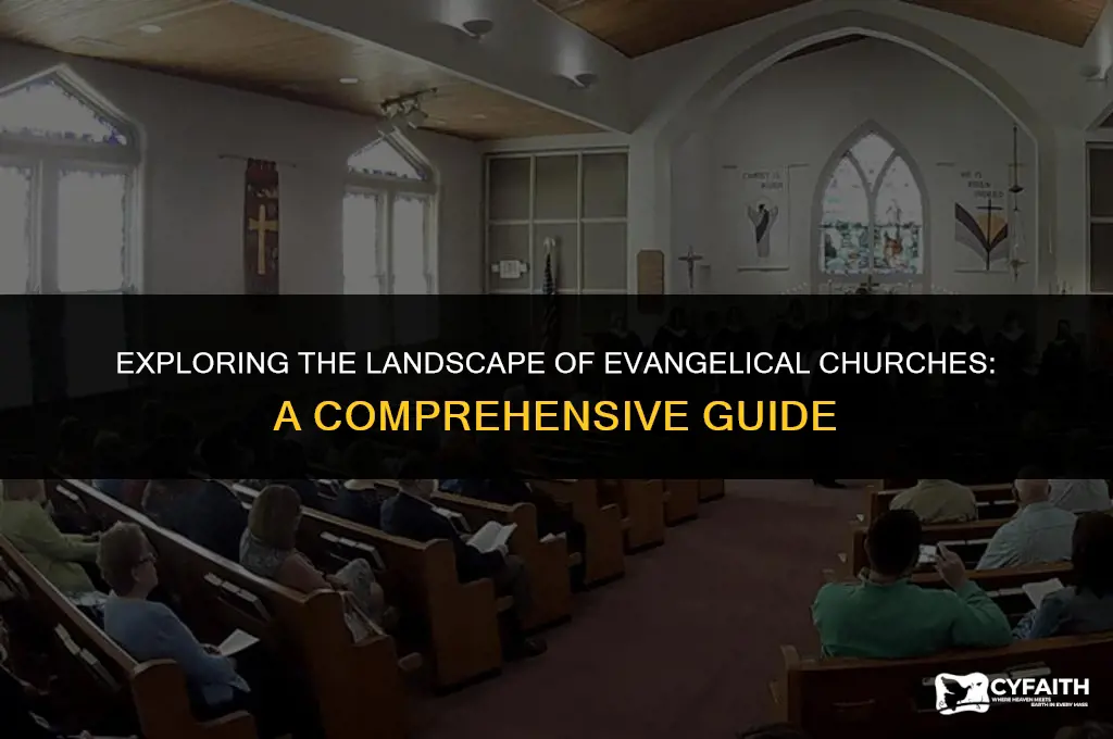 which are the evangelical churches