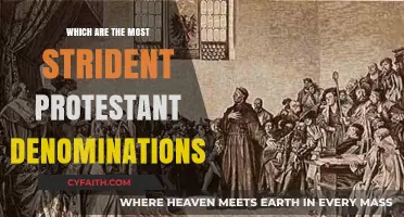 Exploring the Most Vocal and Strident Protestant Denominations Today