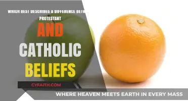 Protestant vs. Catholic: Key Belief Differences Explained Simply