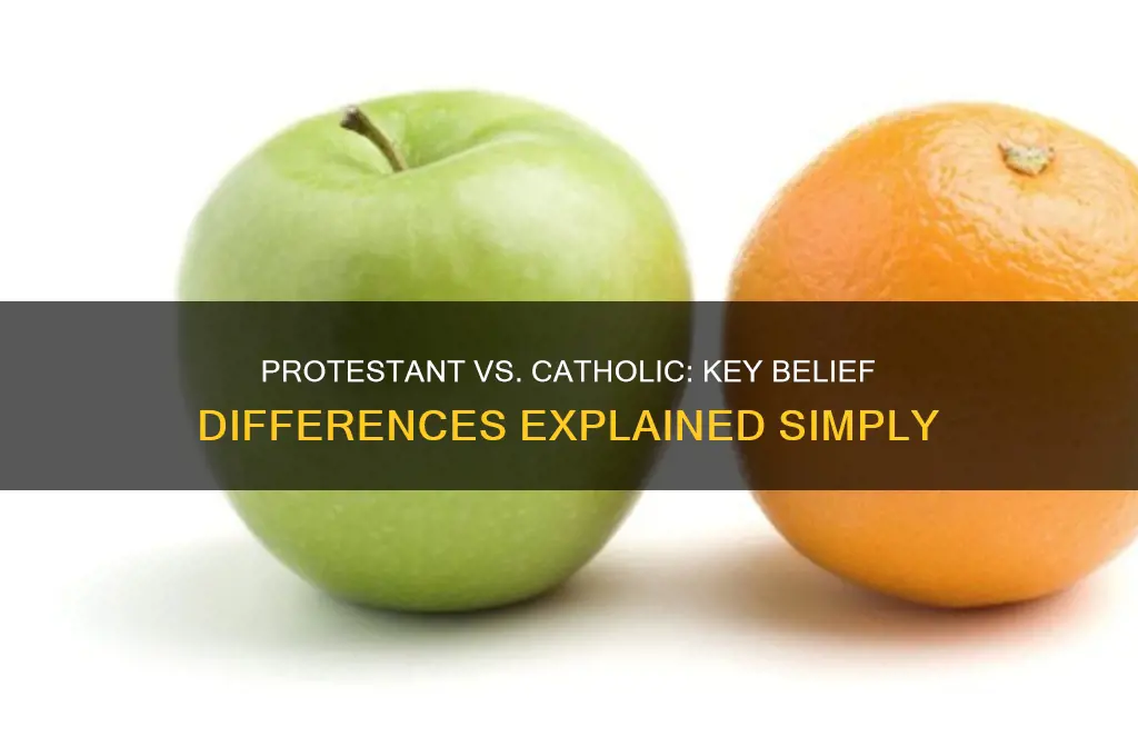 which best describes a difference between protestant and catholic beliefs