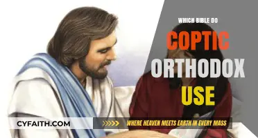 The Sacred Text: Coptic Orthodox Bible Traditions and Usage Explained