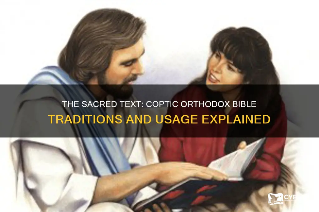 which bible do coptic orthodox use