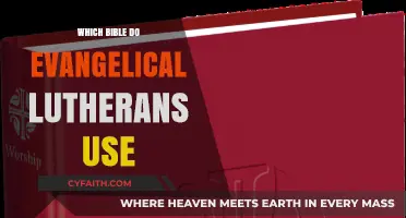 Exploring Scripture: The Bible of Evangelical Lutherans