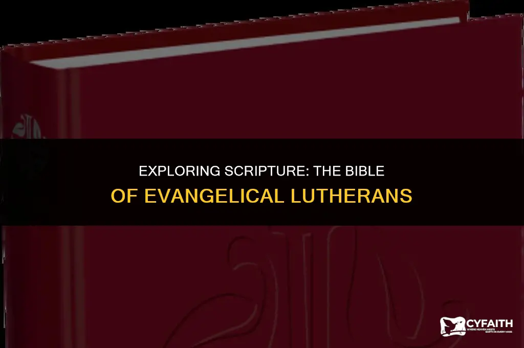 which bible do evangelical lutherans use