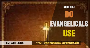 Exploring the Preferred Bible Translations Among Evangelical Christians