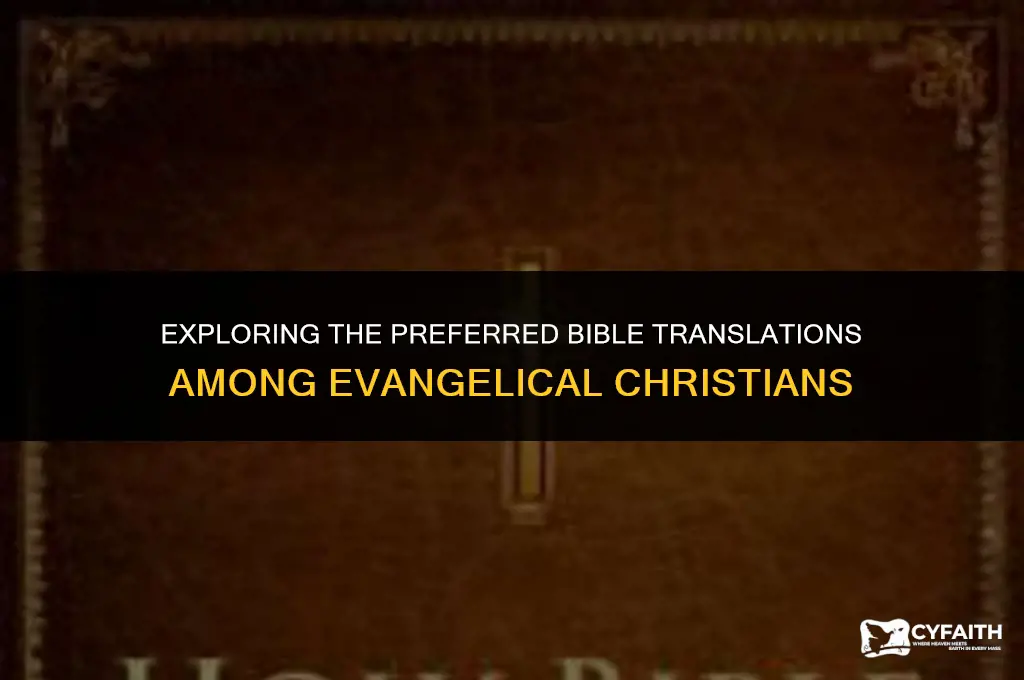 which bible do evangelicals use