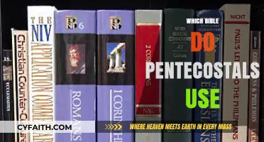 Exploring the Preferred Bible Versions Among Pentecostals