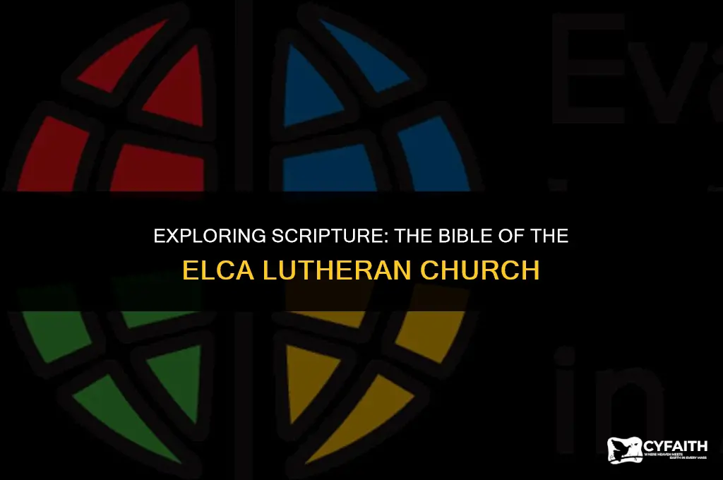 which bible does the elca lutheran church use