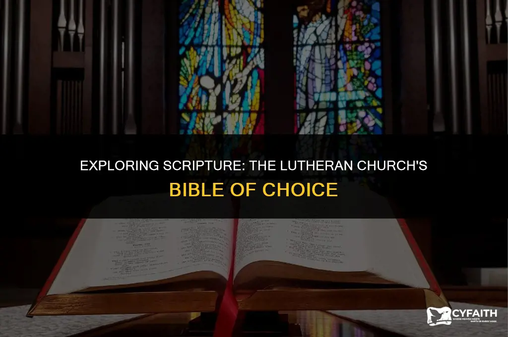which bible does the lutheran church use