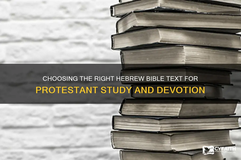 which bible hebrew do i lesrn as a protestant