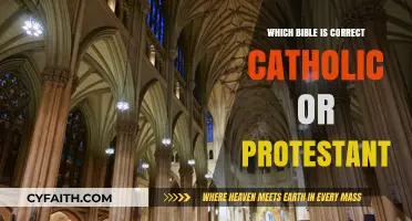 Catholic vs. Protestant Bibles: Which Translation Aligns with Truth?