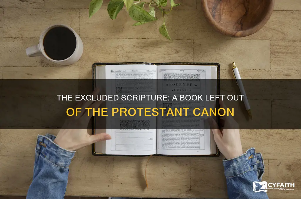 which book was eventually left out of the protestant cannon