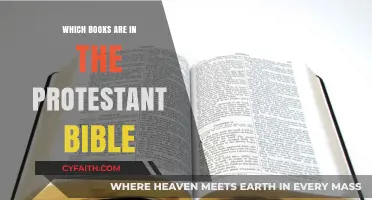 Exploring the Protestant Bible: Books Included and Their Significance