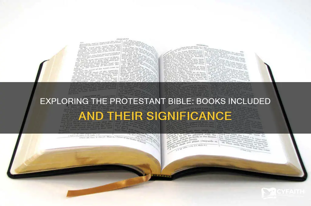 which books are in the protestant bible