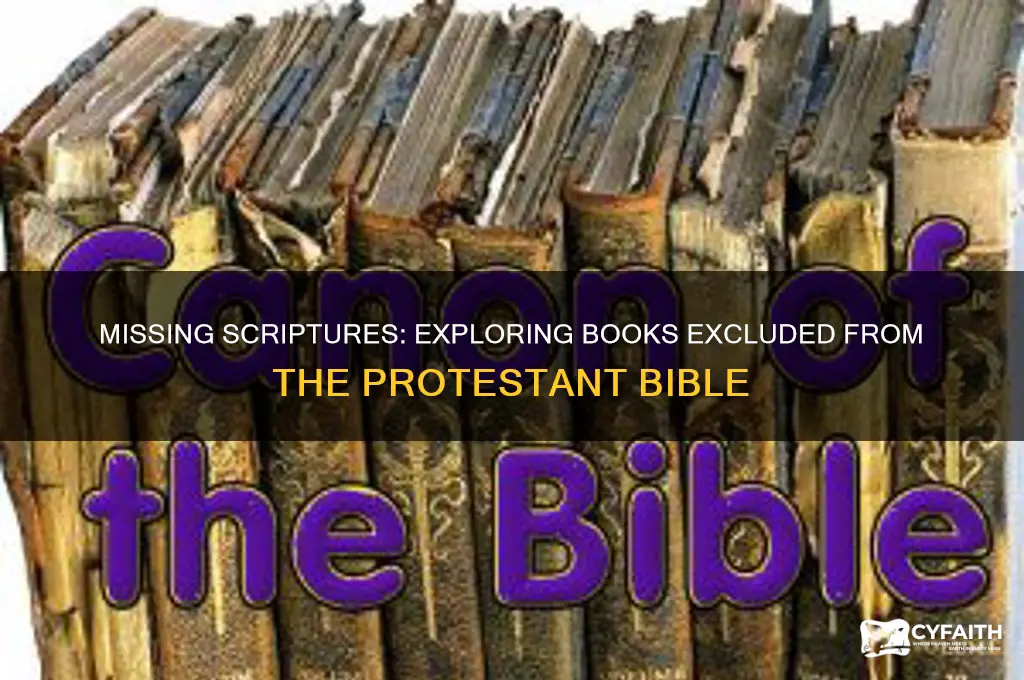 which books are left out of the protestant bible