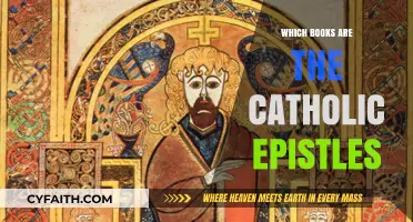 Exploring the Catholic Epistles: A Guide to Their Books and Significance