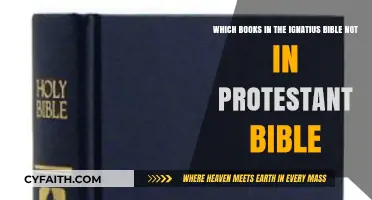 Books in the Ignatius Bible Missing from Protestant Editions Explained
