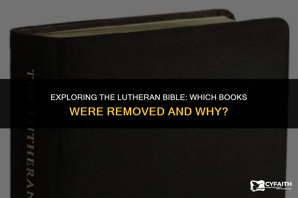which books were removed from the lutheran bible