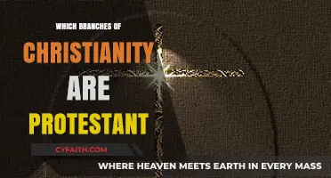 Understanding Protestant Christianity: Key Branches and Their Beliefs