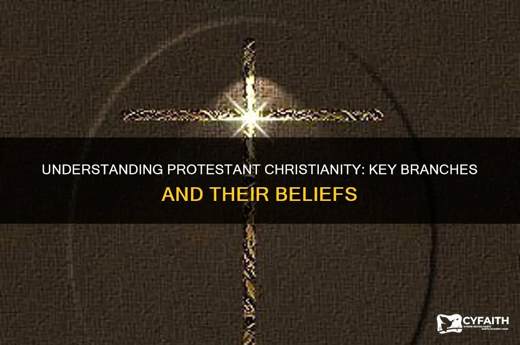 which branches of christianity are protestant