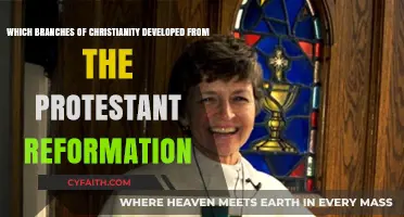 Protestant Reformation's Legacy: Exploring Christianity's Diverse Denominational Branches