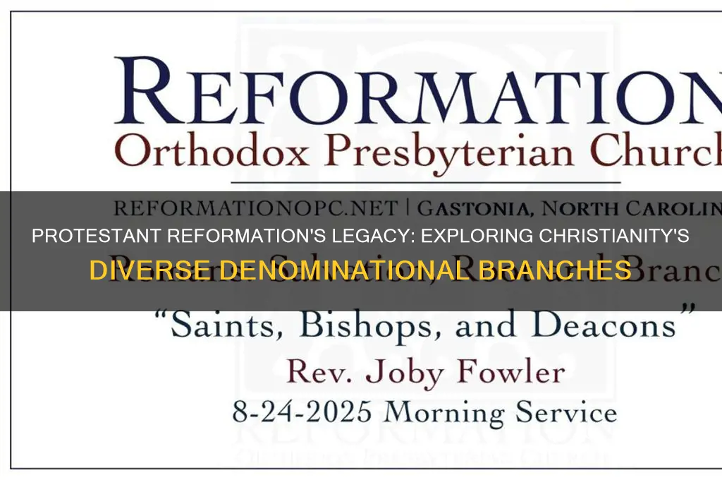 which branches of christianity developed from the protestant reformation