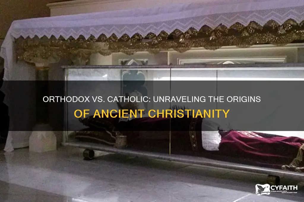 which came first the orthodox church or the catholic church