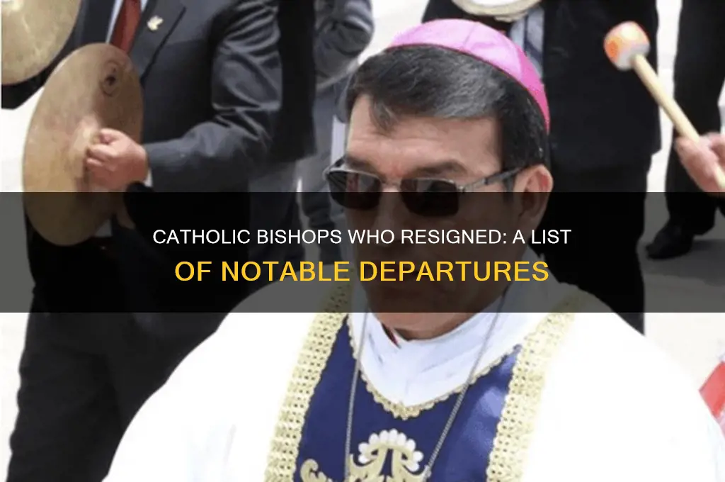 which catholic bishops have resigned