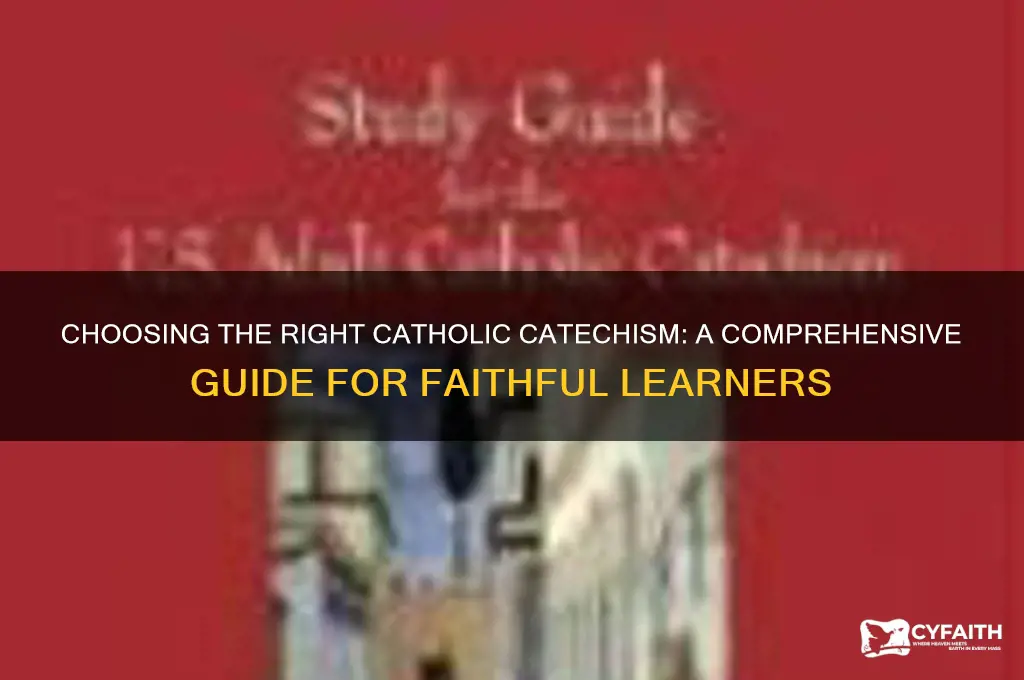 which catholic catechism is the best