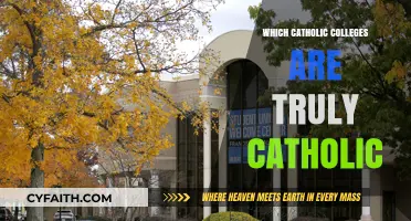 Truly Catholic Colleges: Identifying Authentic Faith-Based Education Today