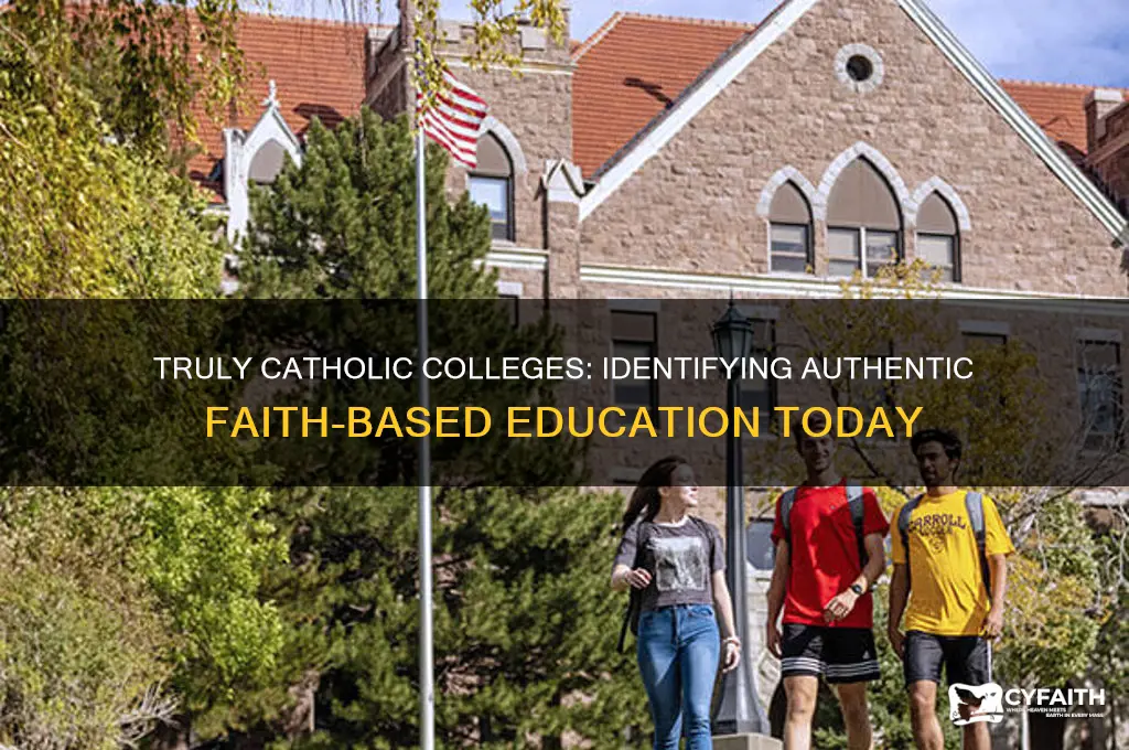 which catholic colleges are truly catholic