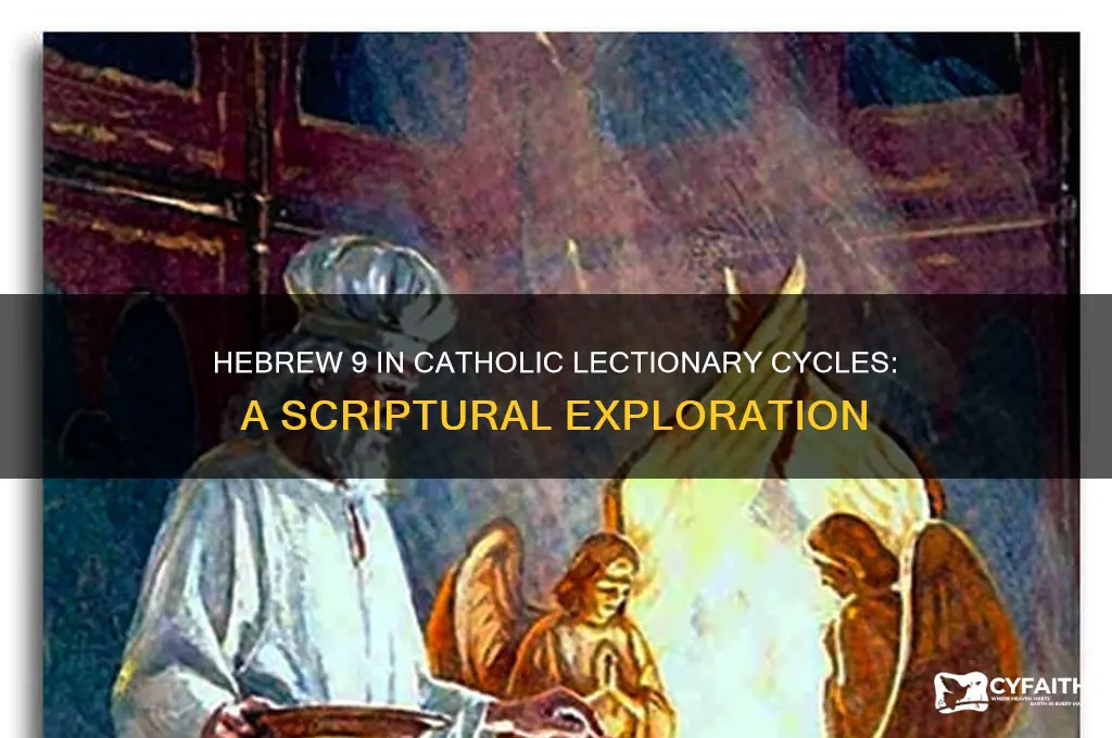 which catholic cycle has hebrew 9